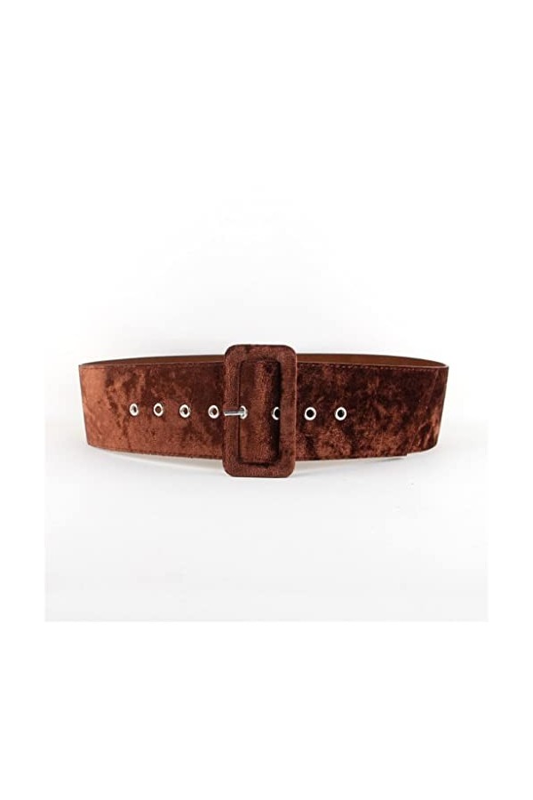 EYHLKM Ceinture Large Femme Robe Ceintures Décorer Ceinture Boucle Ardillon Ceinture en Velours Ceinture De Fête Flanelle Fem