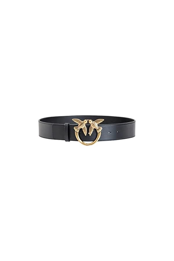 Pinko Love Berry Simply H4 Belt Vis Ceinture, Z99q_Noir-Antique Gold, L Femme