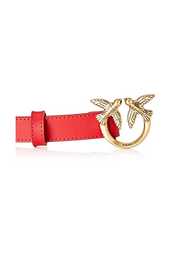Pinko Love Berry H2 Belt Vitello Set Ceinture, R41q_Rouge Grenat-Antique Gold, S Femme
